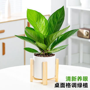 �ی�����~�Gֲ�B�����T���Կ͏d��ؔˮ��ֲ���҃Ⱥ��B���ܰlؔ��