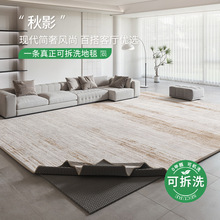 可拆洗地毯客厅现代轻奢新款加厚卧室沙发免打理可机洗防水地毯垫