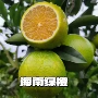 琼中海南礼盒装新鲜水果