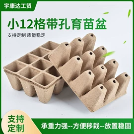 纸浆模塑;纸杯;一次性餐盒