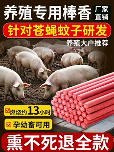 ���������i�����ëF�ð���������Bֳ���������nω��������ω��