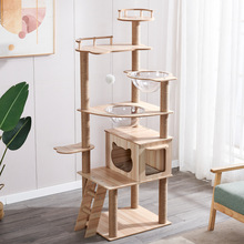 һ�����l؈����؈�C؈��һ�w���̈́e��؈��؈ץ��؈��Ʒ�ļ�ͨ��