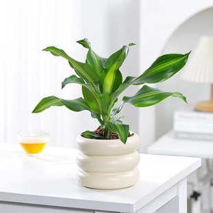 ����Ҳ�T�F����ľ�F�҃ȿ͏d�k�����������ļ����������՚�����ȩ