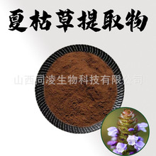 夏枯草提取物10:1水溶性粉食品级原料植物萃取粉末药食同源现货