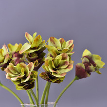 �S��ֱ�N�����ָн��ɻ��ߙn���滨�ٻ����l��ʽ���L�廨����b�