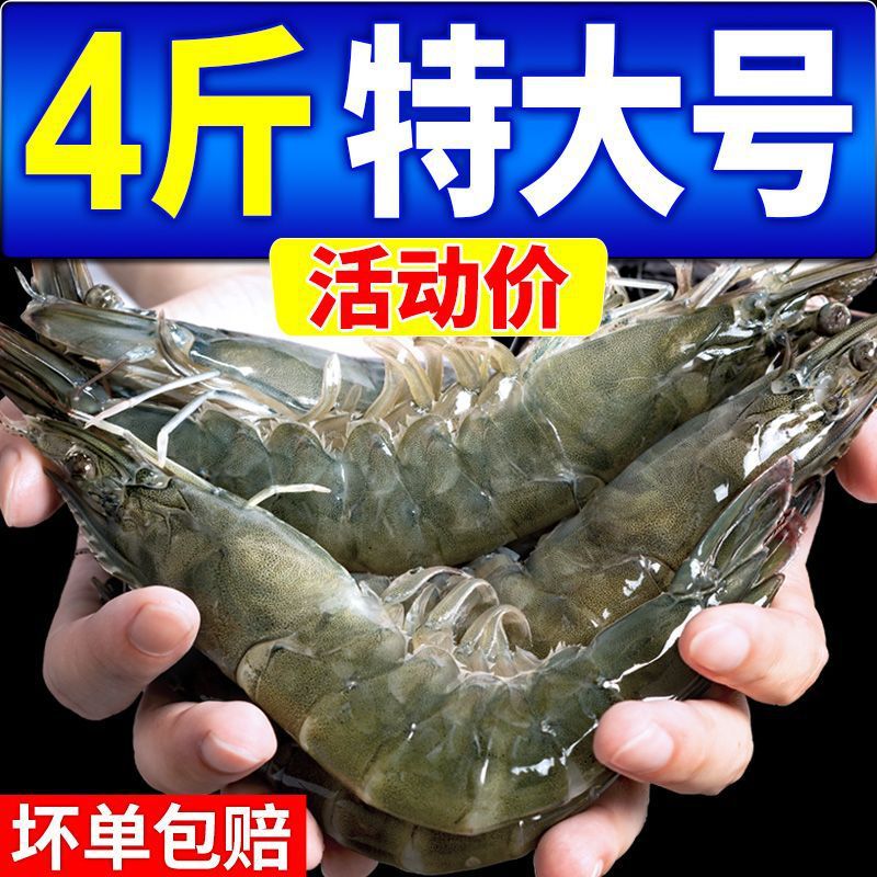 渤海大虾鲜活海虾基围虾冷虾冻虾对虾大号新鲜批发包邮