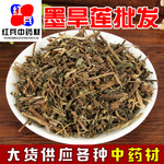 中药材批发旱莲草 鳢肠 量大从优 厂家直销   新鲜直供 墨旱莲