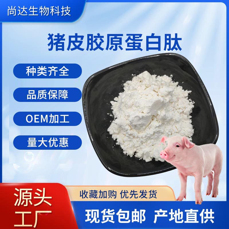 Pork Skin Collagen Peptide 98% Food-Grade Raw Material Collagen Peptide Water-Soluble Pork Skin Collagen Peptide in Stock Pork Skin Collagen Peptide 98% Food-Grade Raw Material Collagen Peptide Water-Soluble Pork Skin Collagen Peptide in Stock