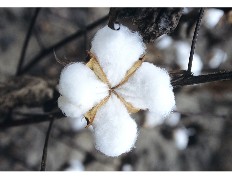 一键复制_20211107151651