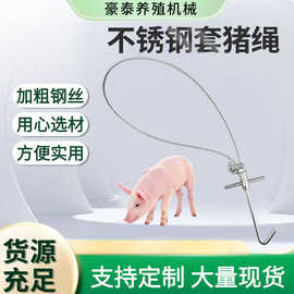 不锈钢长杆套猪绳批发抓猪工具养殖猪用不锈钢绳式套猪保定器