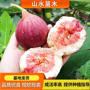 �޽ӟo��������������Բ����t�ļ�ͥԺ�����ϱ����Nֲ�o������