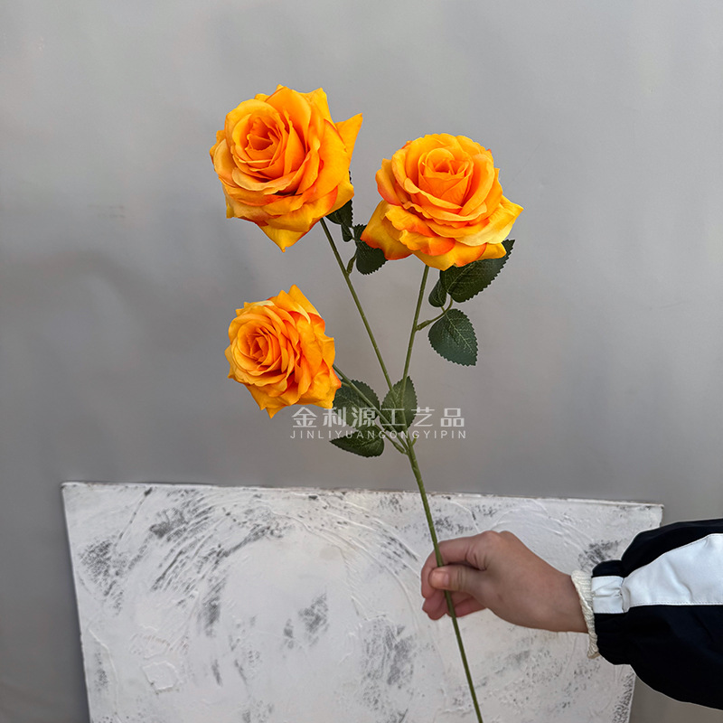 Real object without green leaves 3-head lover rose orange