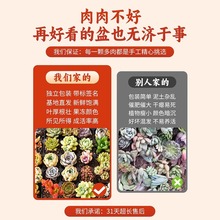 ����ֲ��M��������¶�մɻ������k���һ��ܾGֲ�k������ͯ���̨