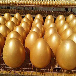 �����15cm20cm��������_�I�c�����l�S��ֱ�N���]�S�ҹ��S�羳