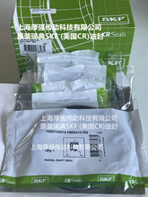 ˹PSKF(CR)pٙCǼͷSKF CR100X120X12HMSA10 RG