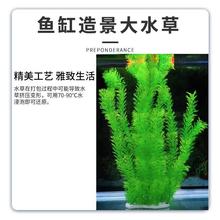 �Gɫ�~��ˮ��ֲ���ײͷ���ˮ���쾰�����ϸ߿��