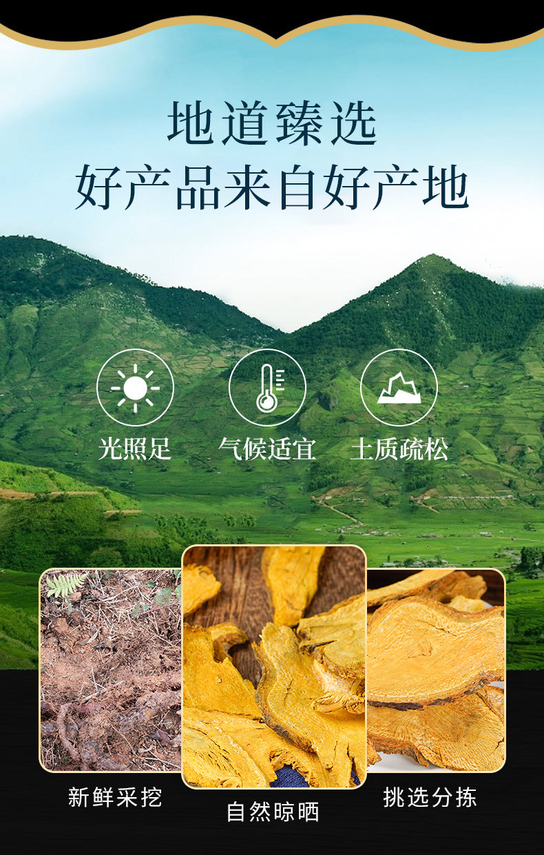 Hu Zhang Slices & Powder (Polygonum cuspidatum / Reynoutria japonica) — Dried Food Herb, Naturally Sun-Dried overview