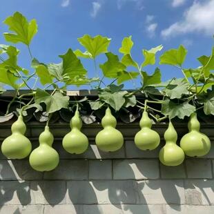 �����J�N�Ӵ���J�N�Ӵ������JͥԺ�����^�p���J����ͥԺ����