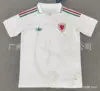 26-27 Wales away game
