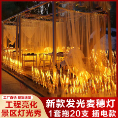 【工程亮化】插电款发光麦穗灯LED户外草坪灯庭院灯公园酒店商场
