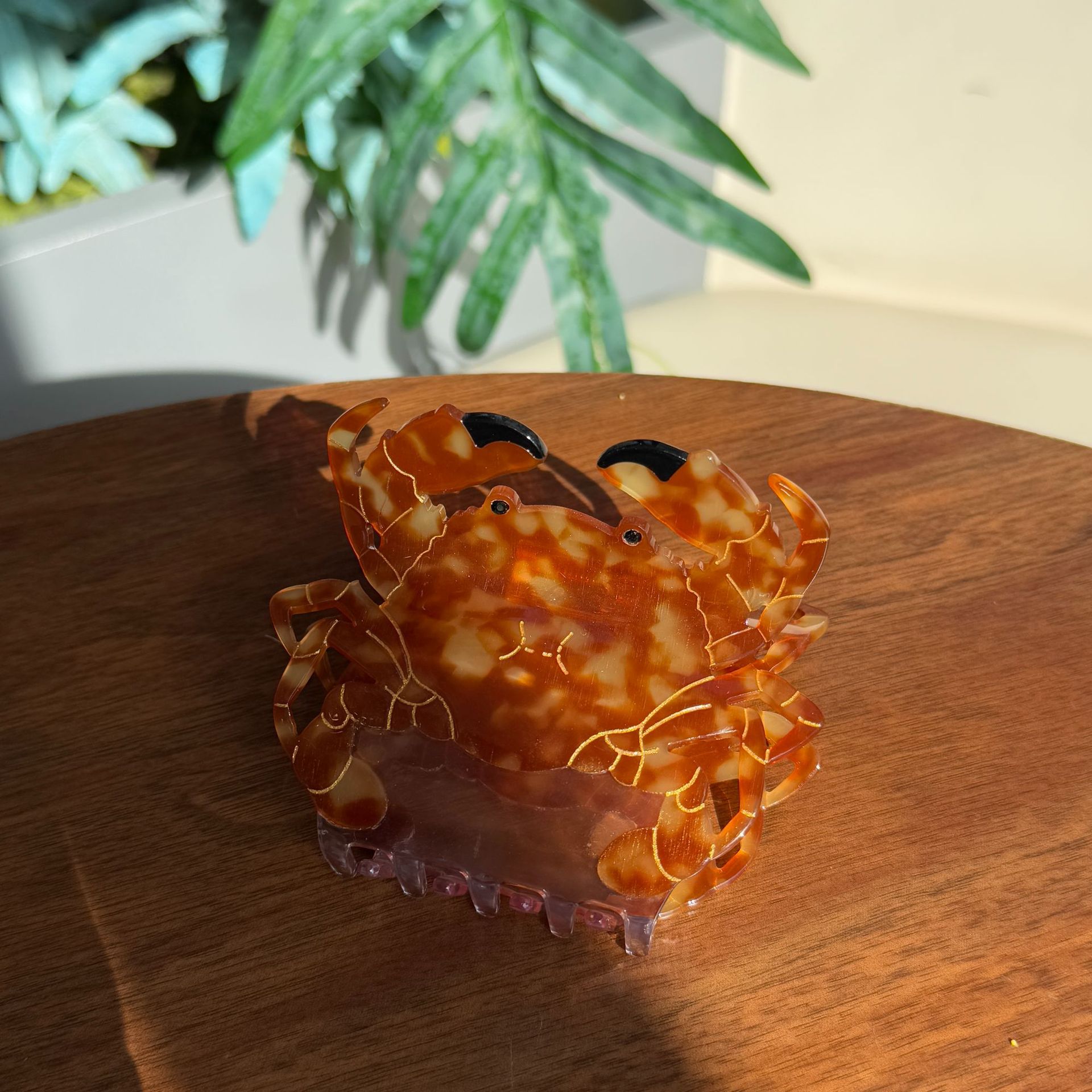 20g Weight Hair Claws Hair Accessories Type 1 Piece Quantity Holiday, Daily Occasion Acetic acid sheets Material Crab, Fish Pattern All Seasons Season Women's Gender Simple Style Style Simple Style Women's Crab Fish Acetic Acid Sheets Hair Claws 2