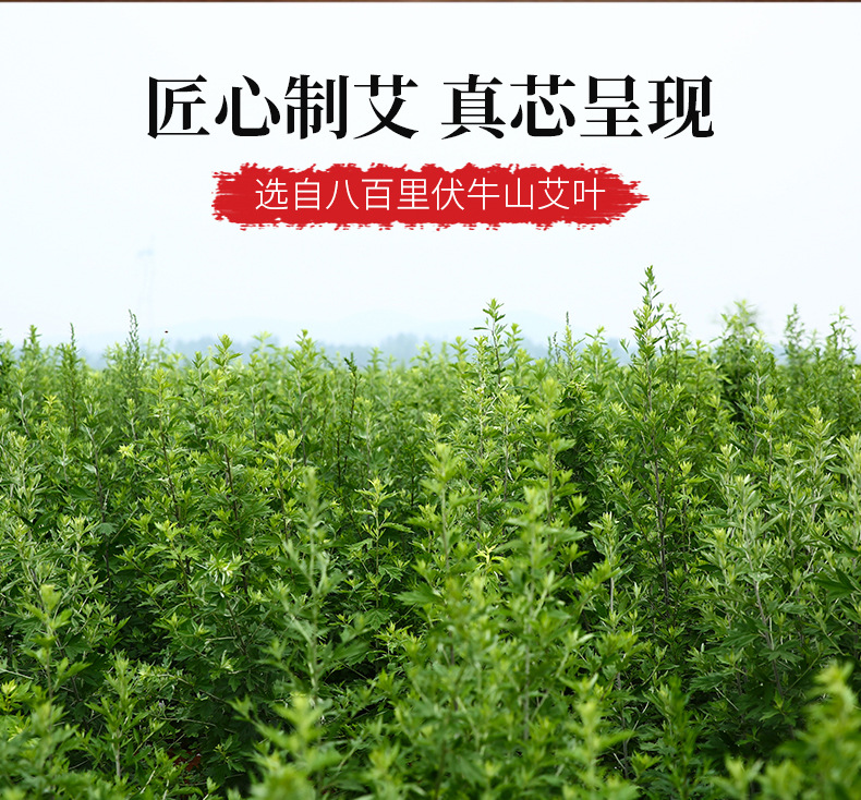 Moxa Stick 25x200mm Pure Mugwort Ai Tiao for Moxibustion Wellness Massage specifications