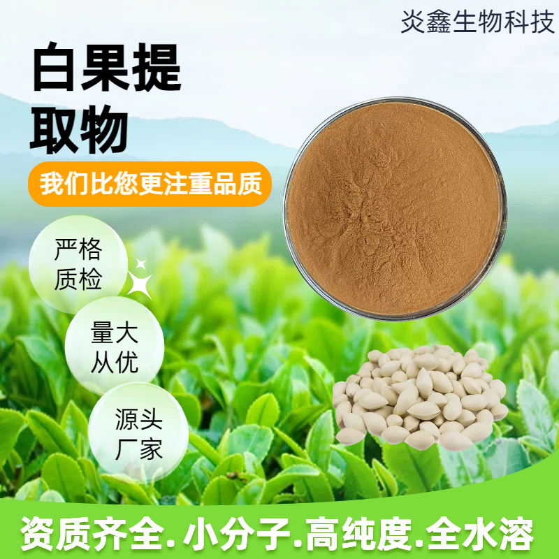 白果提取物 10:1 30:1 水溶白果提取物 中药原料粉 现货供应