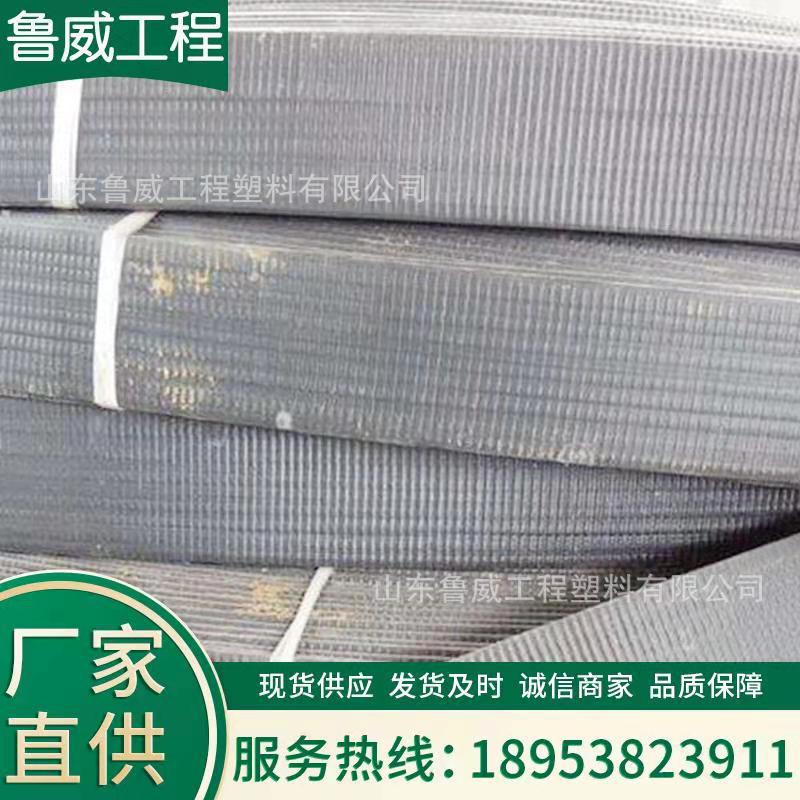钢塑土工拉筋带挡土墙地基加固工程施工铁路护坡用拉筋带
