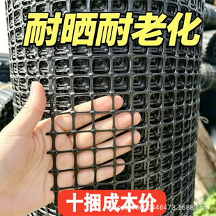 ��ɫ����������ž���ϩ�Bֳ�o���~����·ʩ���z�W�B�u���ھW