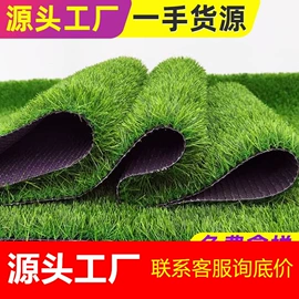 儿童读物;社科生活;四件套