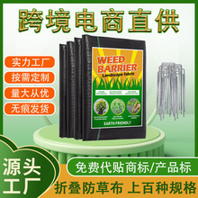 �ۯB���ݲ��@ˇ�ز�pp���ݲ��s�����Ͼ��^�������Ĥ���÷��ݲ�