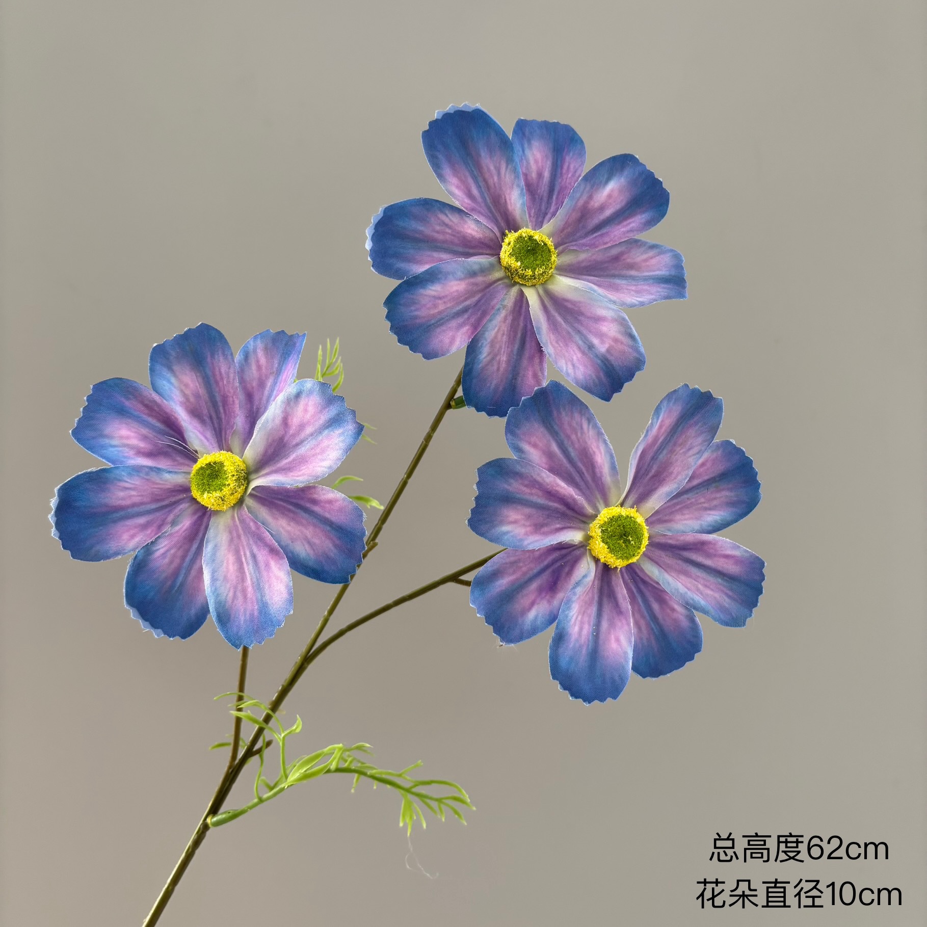 남보라색