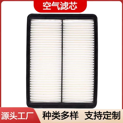 Car air filter for Santa Fe, Geoyue, Sorento, air conditioning filter, oil filter 28113-2W100 (Air filter)