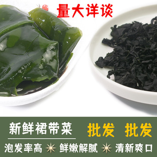 干货裙带菜 干制 韩国裙带菜汤无沙 火锅美味-阿里巴巴