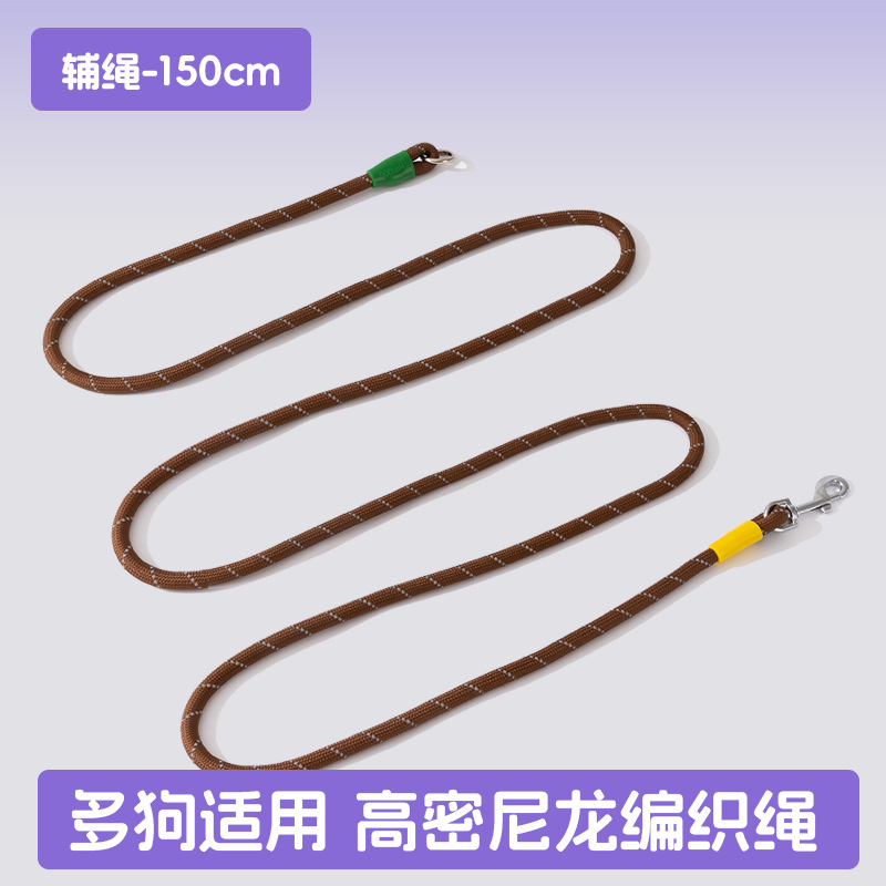 Los perros salen, perros pequeños y medianos, contraste de moda, uno arrastra tres, cuerda de tracción, muchos perros paseando a su perro, cuerda para perros, suministros para perros