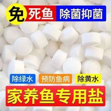 �^�p�~�}���}�B�~�����~�������}����ˮ�|�~��������ˢ