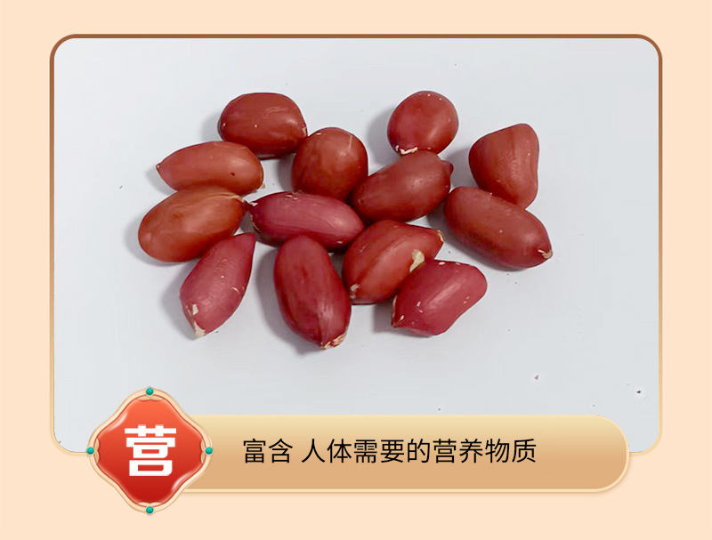 Roasted Red Skin Peanuts Hong Yi Hua Sheng 四粒红 Bulk Kernels for Grinding Snacking and Cooking 500g in use