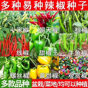 �����N�Ӵ�ȫ������С�������콷���˽��⽷�߲ʽ��ཷ���G�l�N��