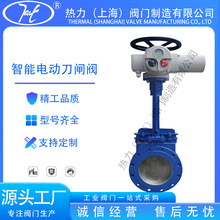 늄ӵlyPZ973H-16C _P {T䓲|ؔ