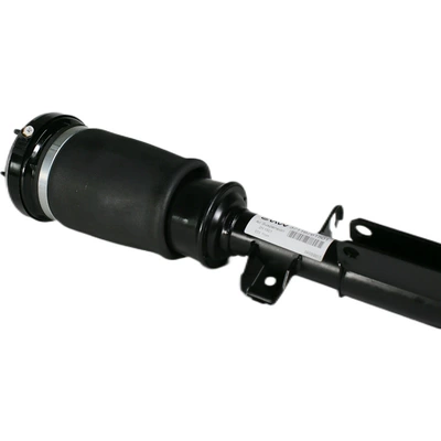 Pneumatic shock absorber 37116765443 Asqı sistemi / Xodovoy hissələr