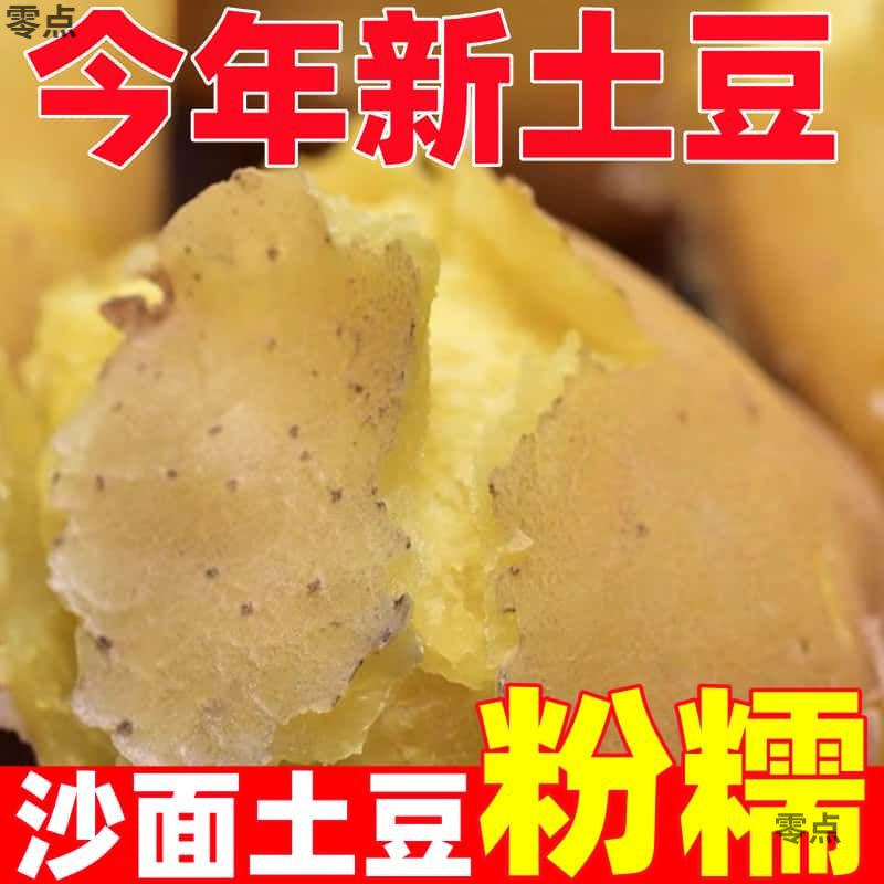 2025年 現掘り定西ジャガイモ 甘粛省砂皮野菜ジャガイモ 黄皮黄芯 新鮮な全箱卸売|undefined