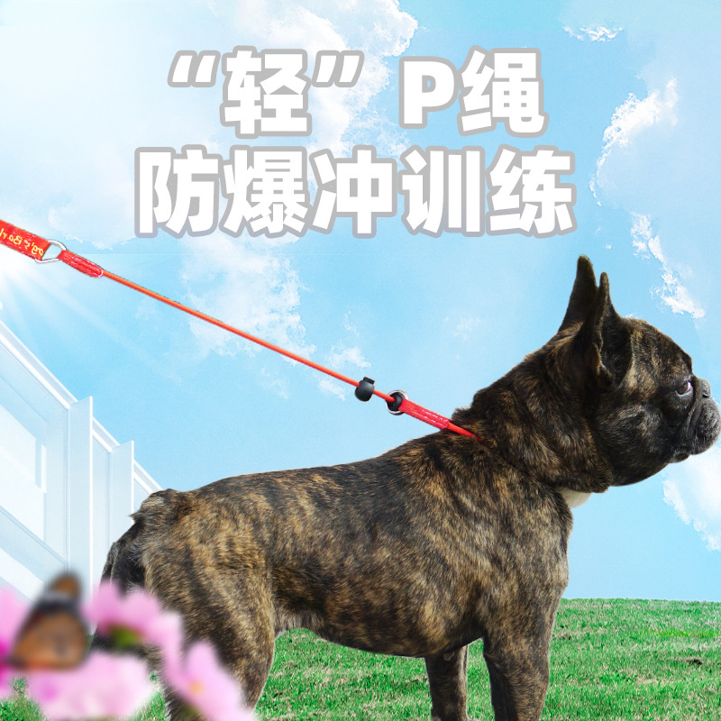 2024 new pet training dog rope control explosion-proof suffocation rope dog leash dog trainer's dog walking rope extremely thin P rope