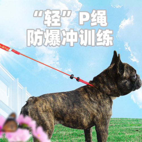 2024 new pet training dog rope control explosion-proof suffocation rope dog leash dog trainer's dog walking rope extremely thin P rope