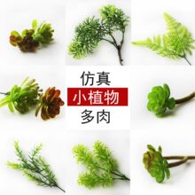 小绿植 微景观仿真植物 塑料花假草 多肉背景植物 DIY微景观材料