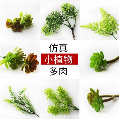 小绿植 微景观仿真植物 塑料花假草 多肉背景植物 DIY微景观材料|ms