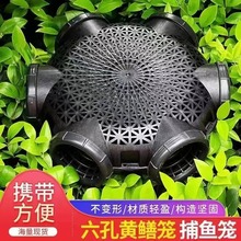 新款六孔鳝鱼笼加厚塑料捕鳝神器鱼虾笼倒须口泥鳅黄鳝专用笼批发