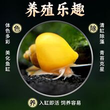 �^�p�ݵ�ˮ�O�����~�׳��幤�߳�������坍�S����ˮ΁ţ����ˮ�B