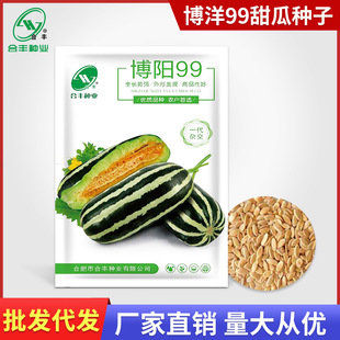 ����99��ϷN�ѾGƤ�t����ϷN�ӻ�Ƥ��ϷN��ˮ���߲��яS�����l