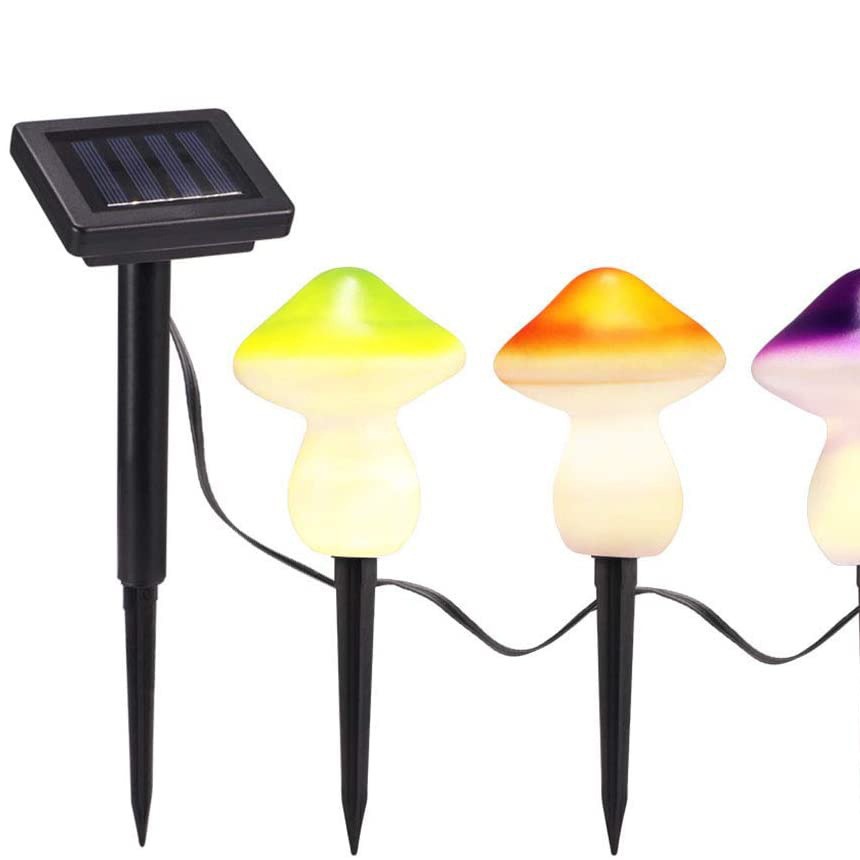 �¿�̫����Ģ���ز��һ���������ˮ��԰ͥԺ԰�ֲ�ƺװ�β�ص�