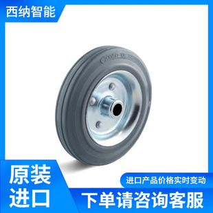 TORWEGGE�������z݆SGS-080-25-40-R12